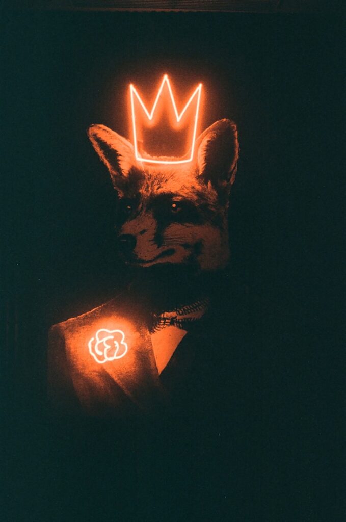 a carved pumpkin with a light inside